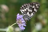 5940B (6115)_Dambordje - Plitvice N.P. (Kroatia)